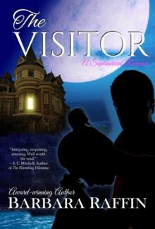 The Visitor : A Supernatural Romance