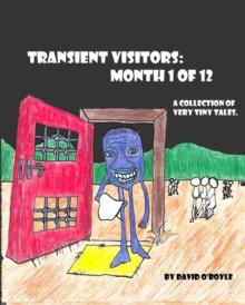 Transient Visitors : Month 1 of 12, a Collection of 31 very tiny Tales