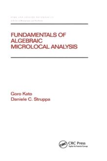 Fundamentals of Algebraic Microlocal Analysis