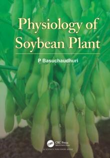 Physiology of Soybean Plant