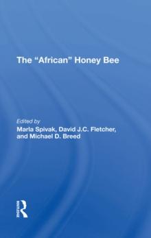 The african Honey Bee