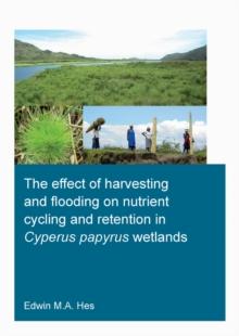 The effect of harvesting and flooding on nutrient cycling and retention in Cyperus papyrus wetlands