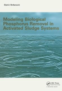 Modeling Biological Phosphorus Removal in Activated Sludge Systems