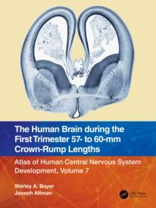 The Human Brain during the First Trimester 57- to 60-mm Crown-Rump Lengths : Atlas of Human Central Nervous System Development, Volume 7