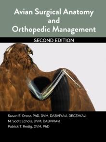 Avian Surgical Anatomy And Orthopedic Management, 2nd Edition