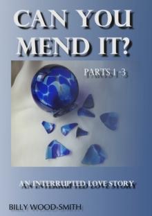 Can You Mend It? An Interrupted Love Story (Part 1-3)