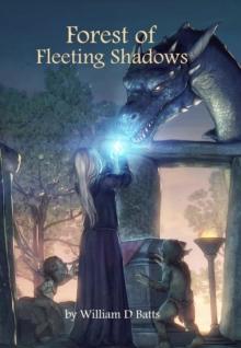 Forest of Fleeting Shadows