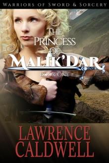 Princess of Malik'Dar (Warriors of Sword & Sorcery, #1)