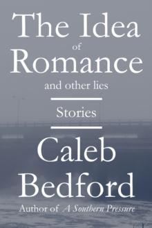 Idea of Romance and Other Lies: Stories