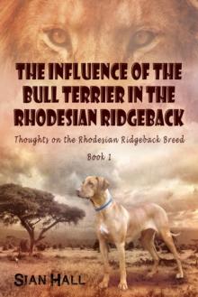 Influence of the Bull Terrier in the Rhodesian Ridgeback