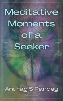 Meditative Moments of a Seeker