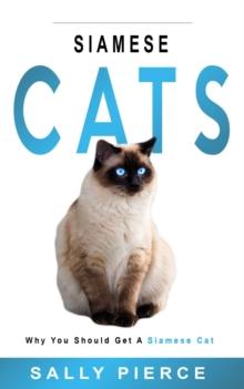 Siamese Cats: Why You Should Get a Siamese Cat