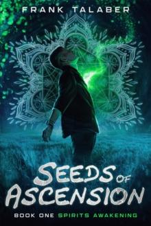 Seeds Of Ascension: Book One, Spirits Awakening