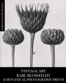 Vintage Art : Karl Blossfeldt 20 Botanical Photography Prints