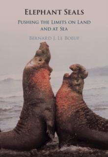 Elephant Seals : Pushing the Limits on Land and at Sea