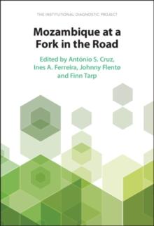 Mozambique at a Fork in the Road : The Institutional Diagnostic Project