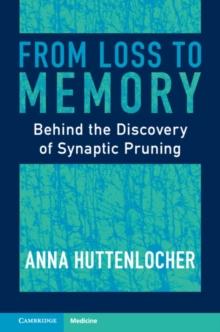 From Loss to Memory : Behind the Discovery of Synaptic Pruning