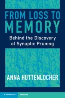 From Loss to Memory : Behind the Discovery of Synaptic Pruning