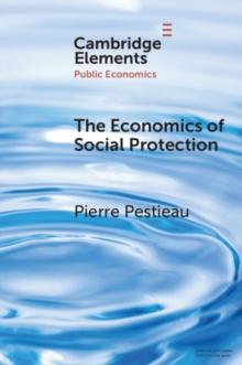 The Economics of Social Protection