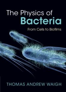 Physics of Bacteria : From Cells to Biofilms