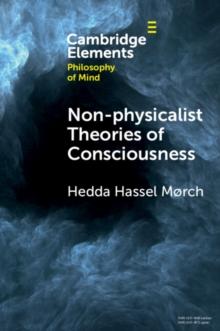 Non-physicalist Theories of Consciousness