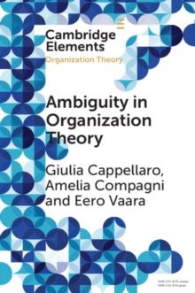 Ambiguity in Organization Theory : From Intrinsic to Strategic Perspectives