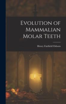 Evolution of Mammalian Molar Teeth