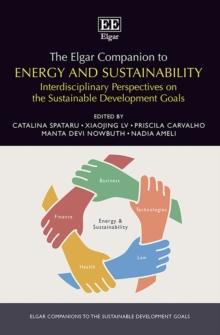 Elgar Companion to Energy and Sustainability : Interdisciplinary Perspectives on the Sustainable Development Goals