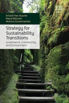 Strategy for Sustainability Transitions : Governance, Community and Environment