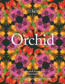 The Orchid: Royal Botanic Gardens, Kew : A celebration of the world's most charismatic flower