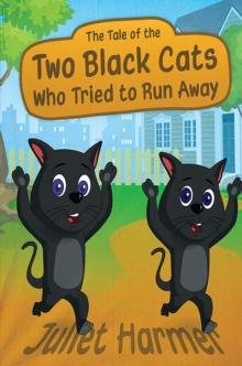 The  Tale of the Two Black Cats Who Tried to Run Away