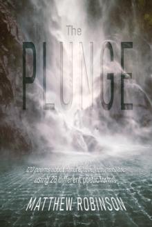 The Plunge : 120 poems about nature, love, loss, and life, using 28 different poetic forms