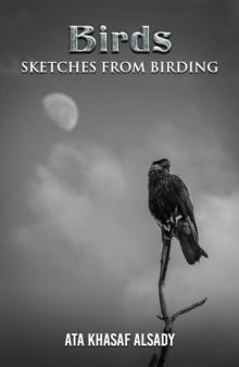 Birds: Sketches from Birding