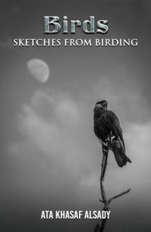 Birds : Sketches from Birding