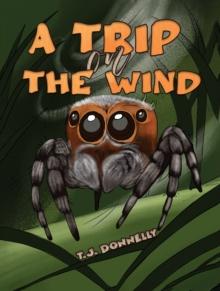 A Trip on the Wind