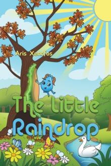 The Little Raindrop