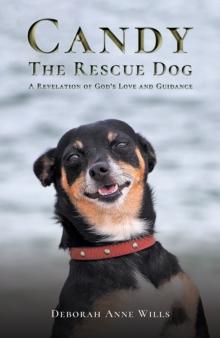 Candy the Rescue Dog : A Revelation of Gods Love and Guidance