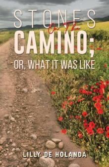 Stones on the Camino; or, What It Was Like