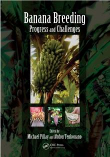 Banana Breeding : Progress and Challenges