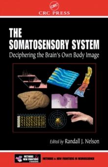 The Somatosensory System : Deciphering the Brain's Own Body Image