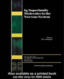 Ig Superfamily Molecules in the Nervous System