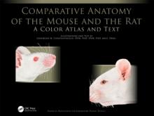 Comparative Anatomy of the Mouse and the Rat : A Color Atlas and Text