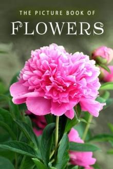 The Picture Book of Flowers : A Gift Book for Alzheimer's Patients and Seniors with Dementia