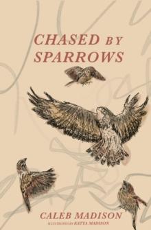 Chased By Sparrows