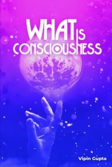 What Is Consciousness