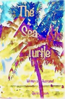 The Sea Turtle