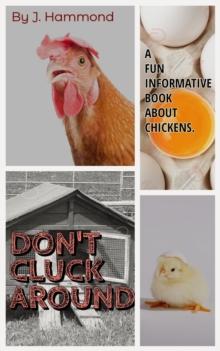 Don't Cluck Around : A FUN Informative Book About Chickens