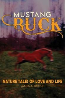 MUSTANG BUCK NATURE TALES of LOVE and LIFE