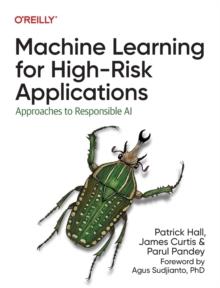 Machine Learning for High-Risk Applications : Approaches to Responsible AI