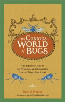 Curious World of Bugs